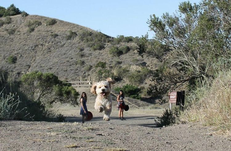 05-19-39-1621269574798357853