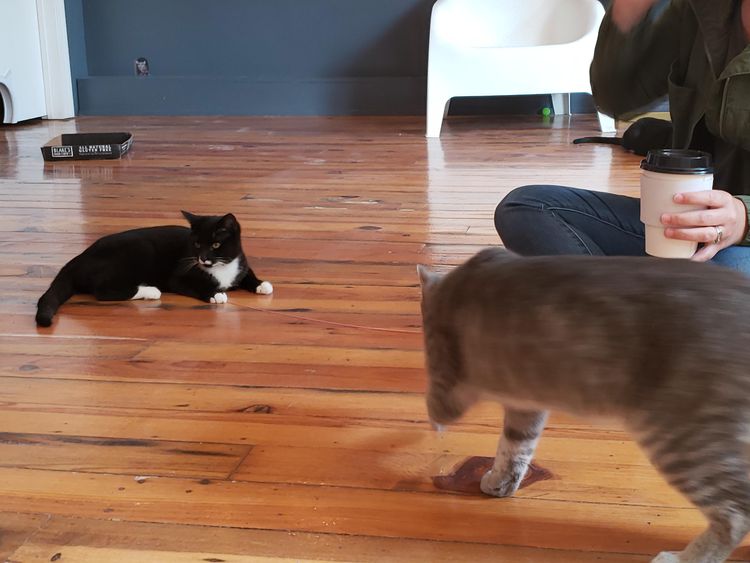 05-19-39-1621269574851734200