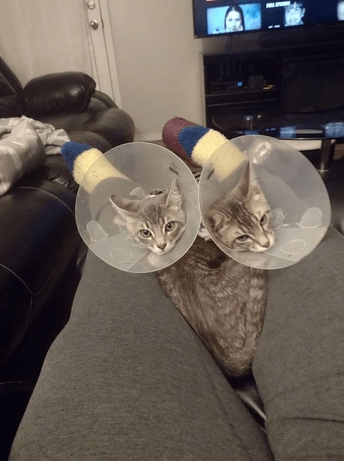 05-19-39-162126957490582262