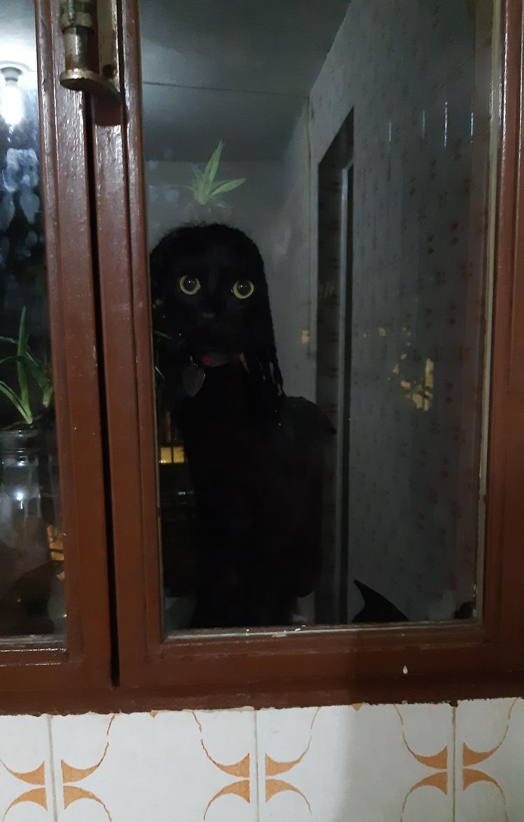 05-19-39-16212695751919854072