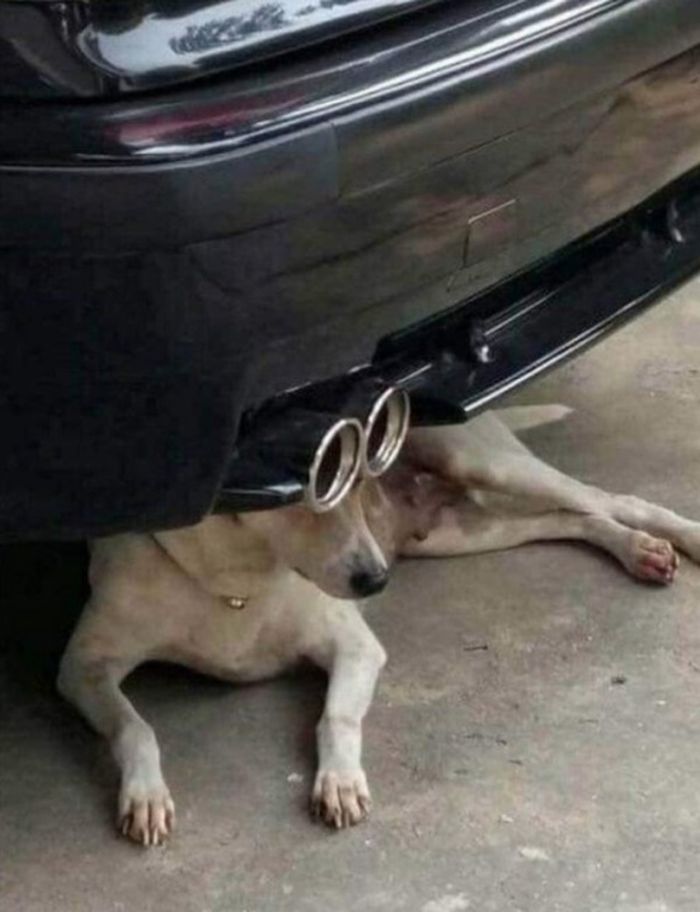 05-19-39-16212695761508926449