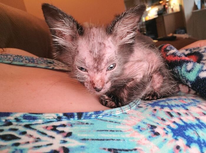 05-19-41-16208377121422532614