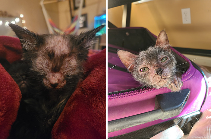 05-19-41-16208377131049552379