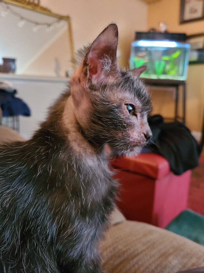 05-19-41-16208377131437533460