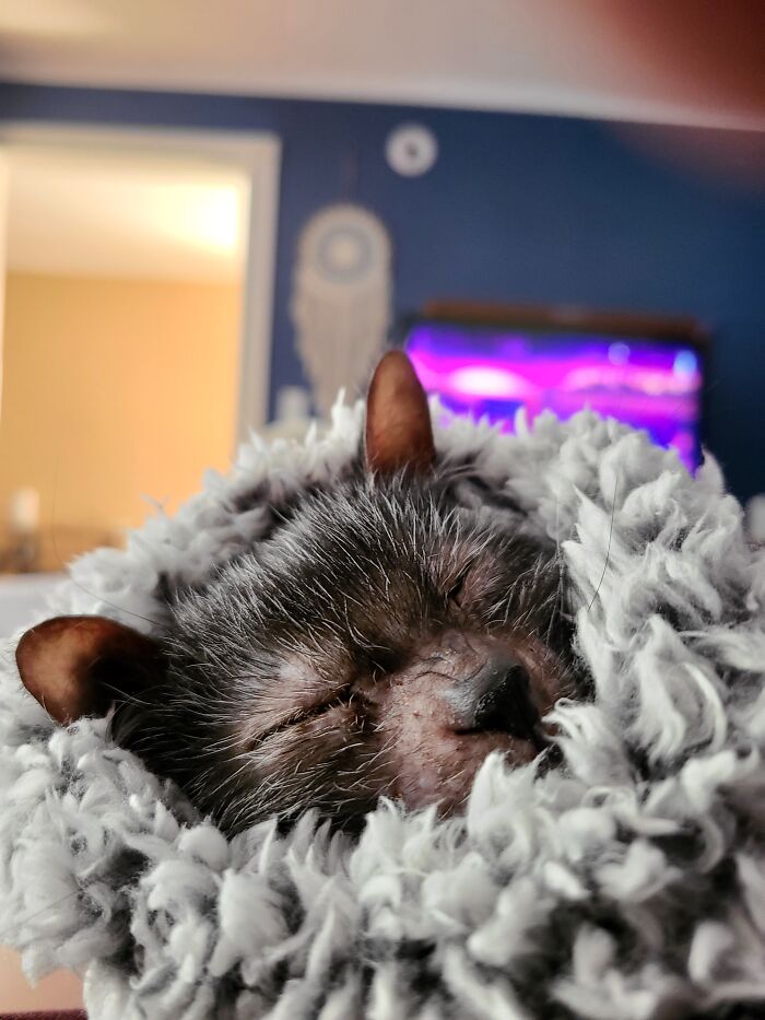 05-19-41-16208377131773415944