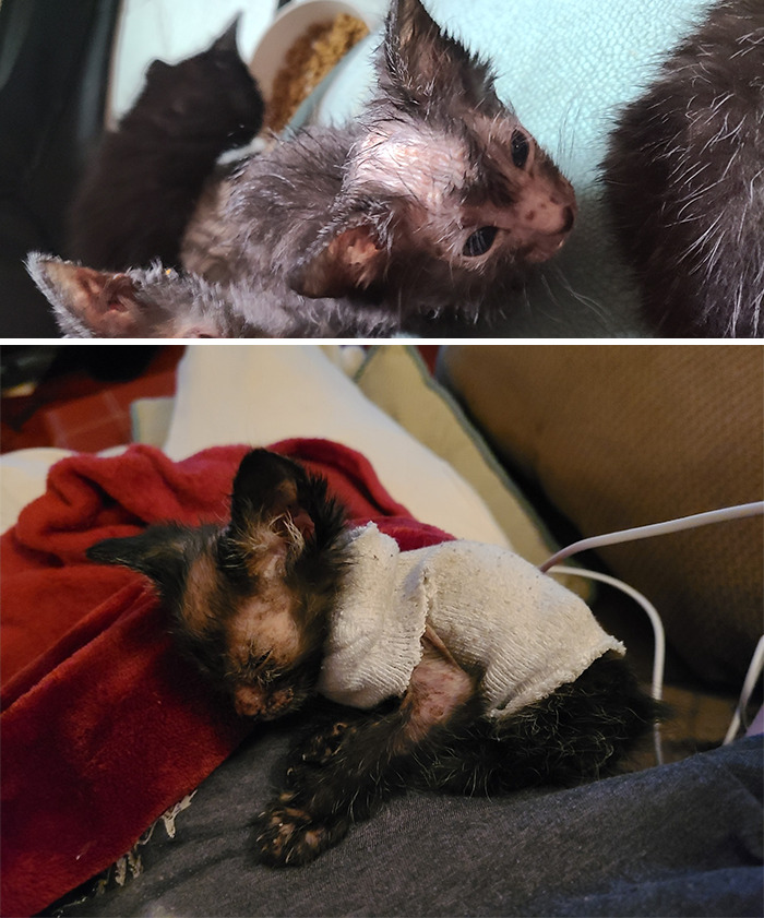 05-19-41-1620837713482437514