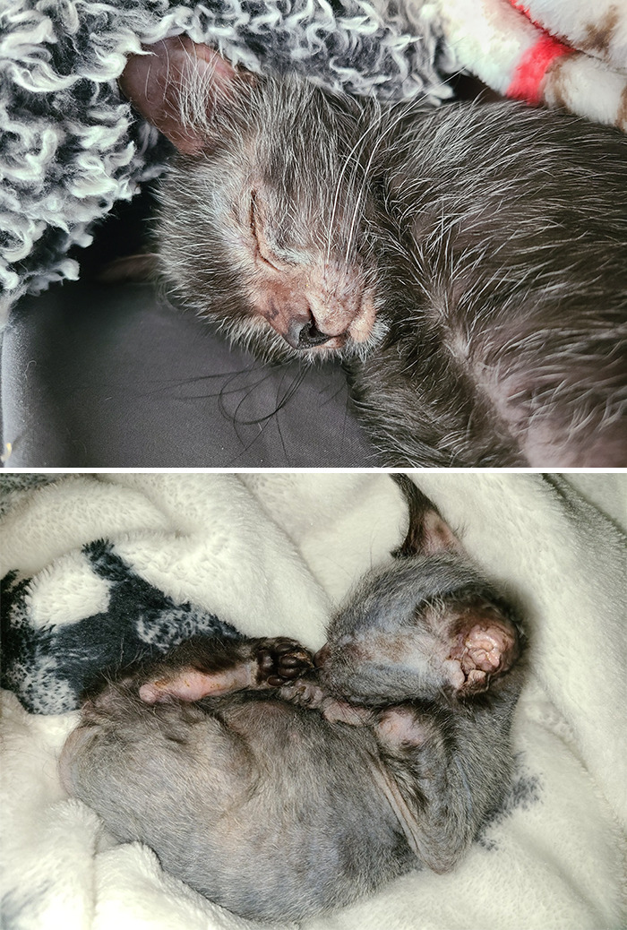 05-19-41-16208377142064440564