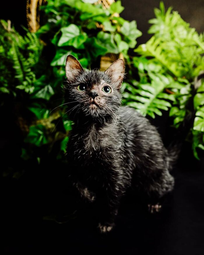 05-19-41-16208377161245165510