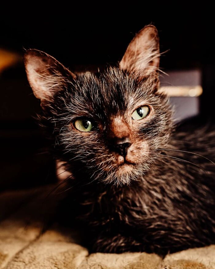 05-19-41-16208377161372573019