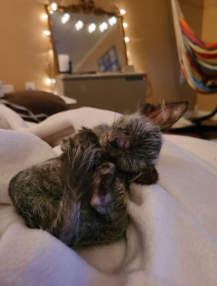 05-19-41-162083771622831787