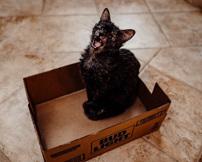 05-19-41-1620837717705017021