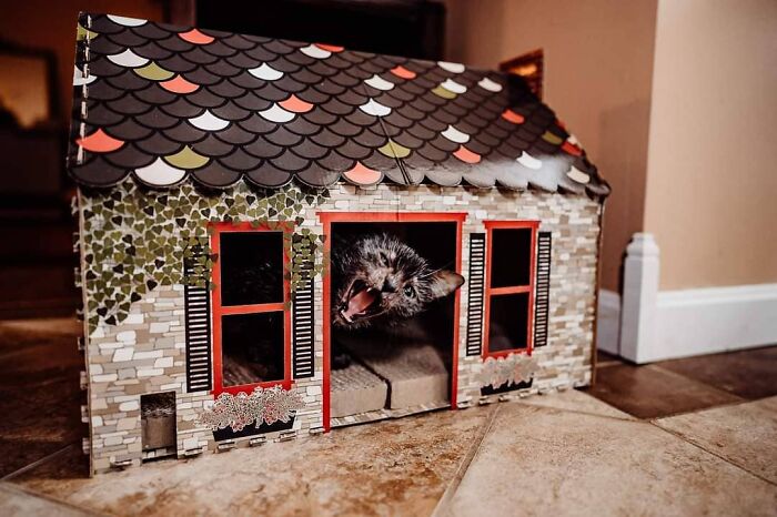 05-19-41-1620837718939790412