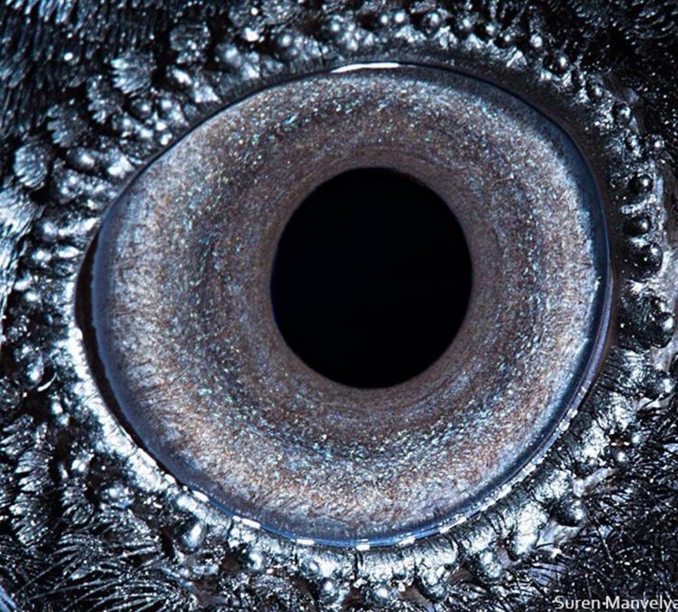 05-20-38-1621877882735109486