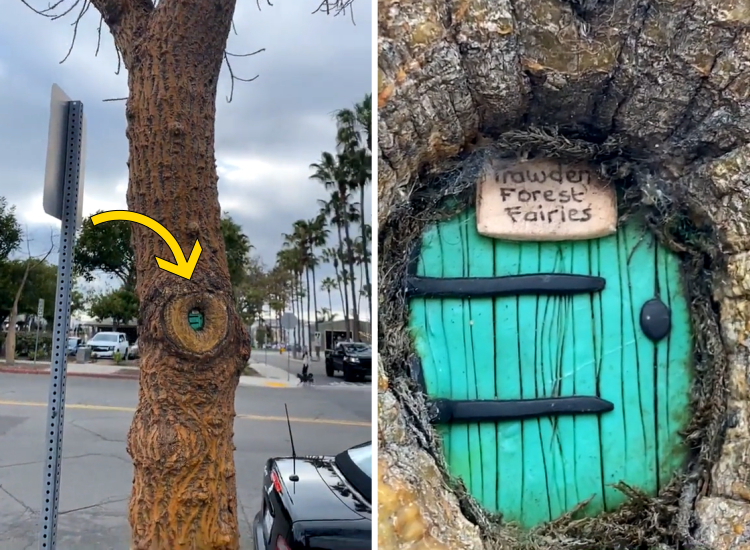 05-21-06-16220523921503780082