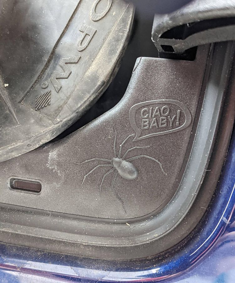 05-21-06-16220523951004442722