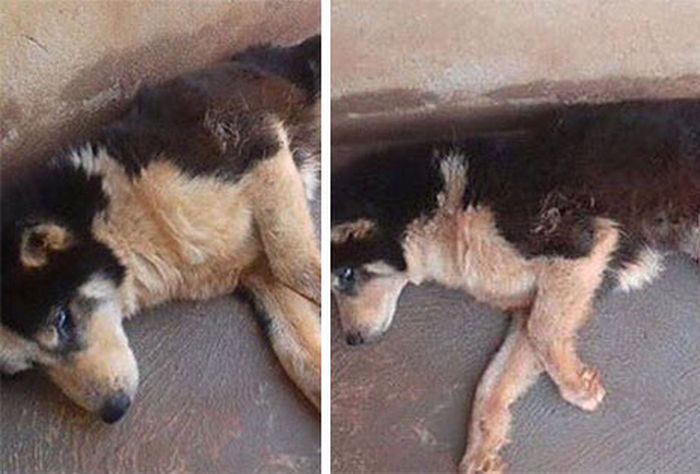 05-21-07-16213612541028256135