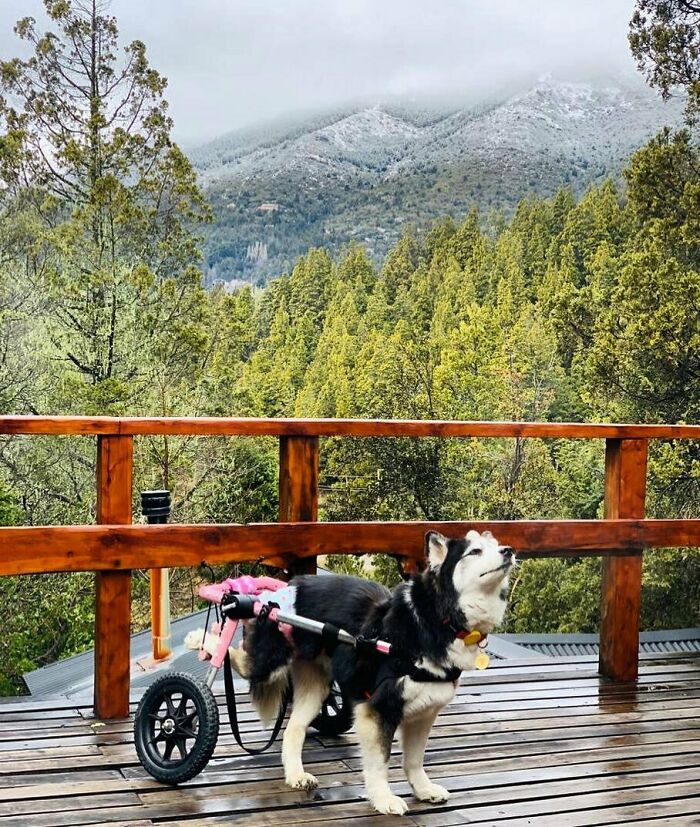 05-21-07-16213612541264025042