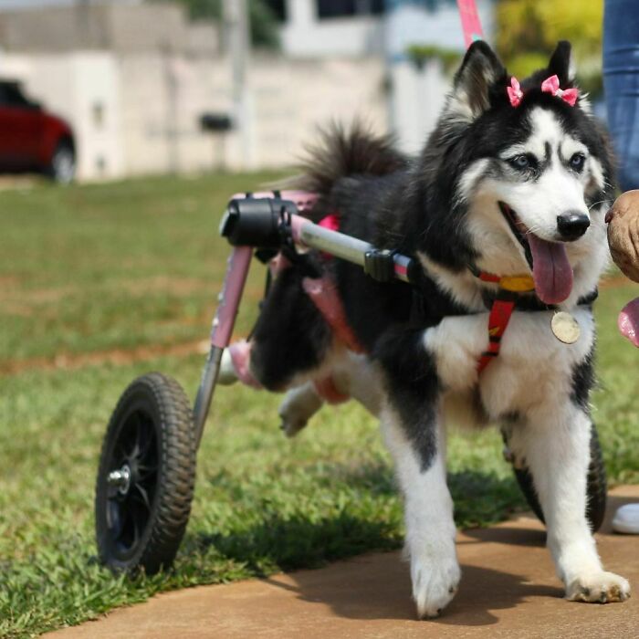 05-21-07-16213612541385552786