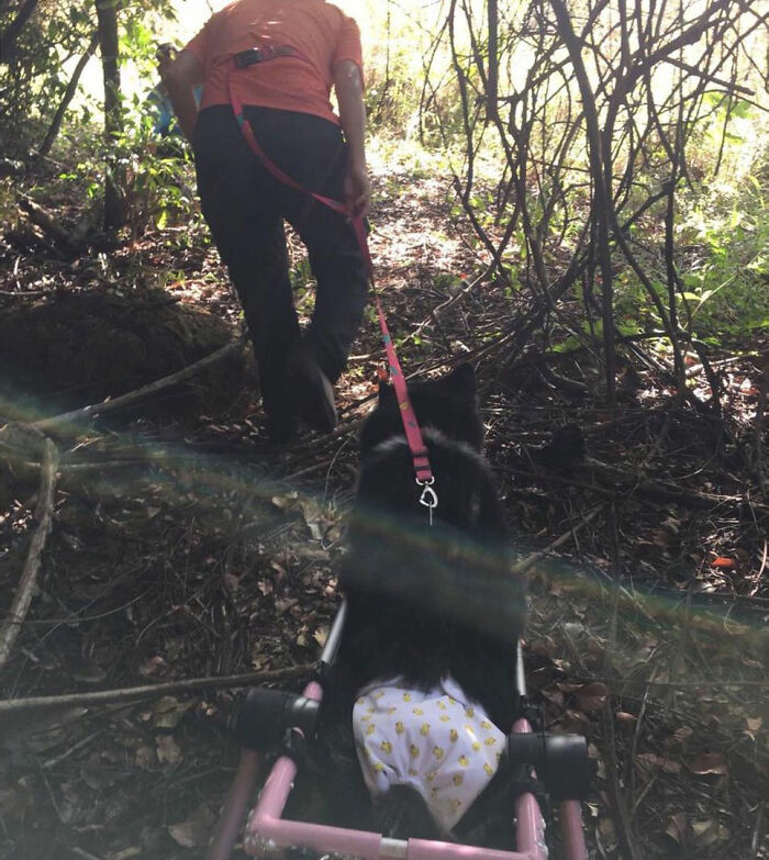 05-21-07-16213612541707915520