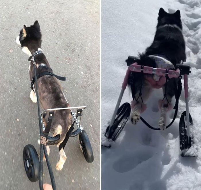 05-21-07-16213612541825415812