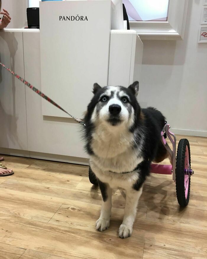 05-21-07-1621361255940176518