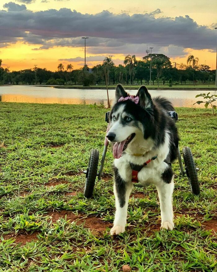 05-21-07-16213612562015508496