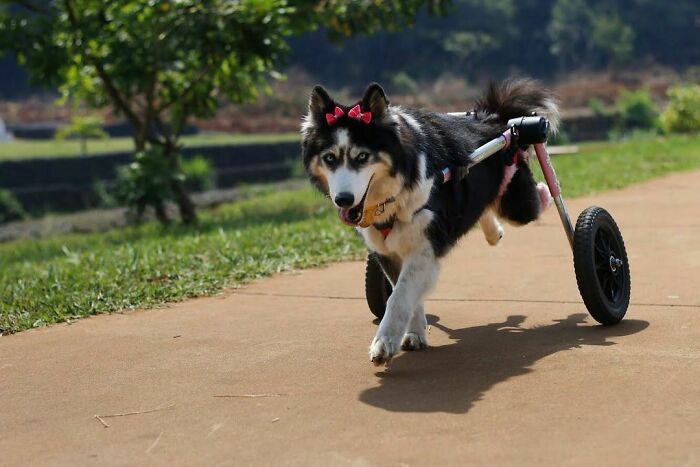 05-21-07-1621361257164399548