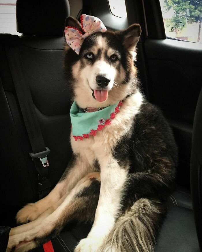 05-21-07-16213612591700947935