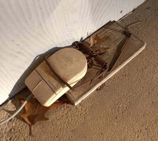 05-21-39-16208447642006975736