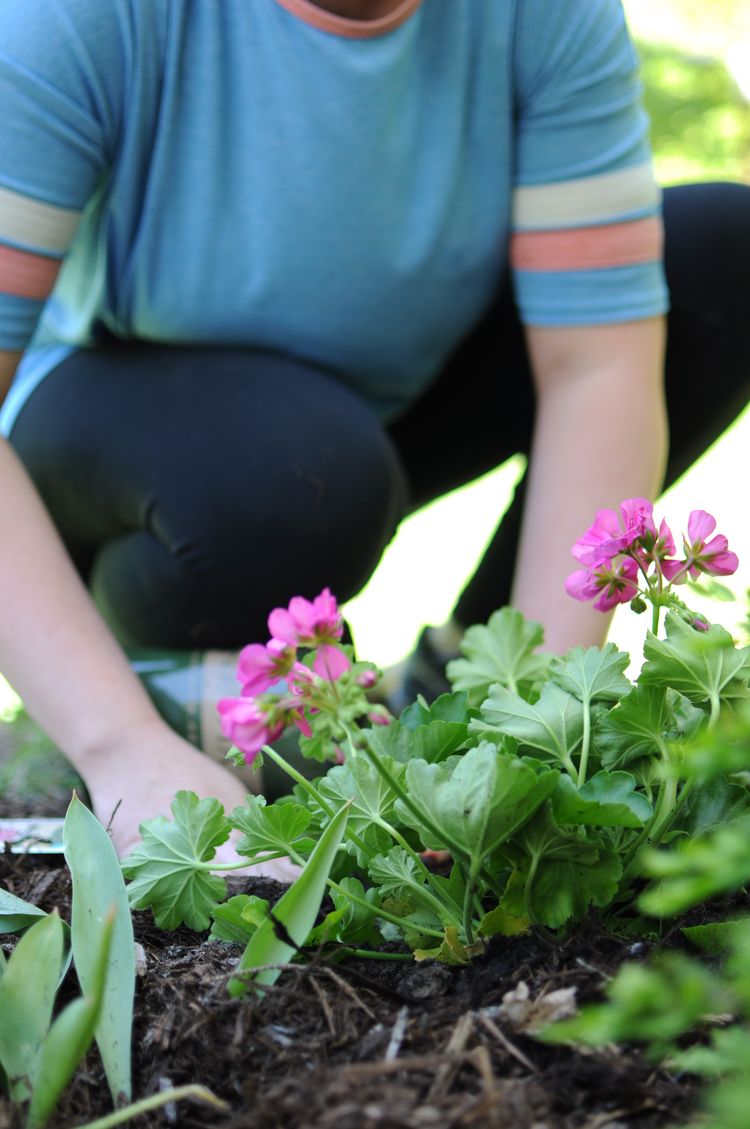 05-21-49-16220549701268380899