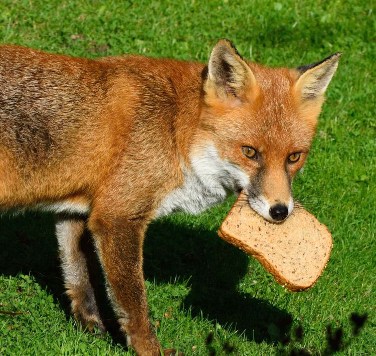 05-21-51-16220550741003529585