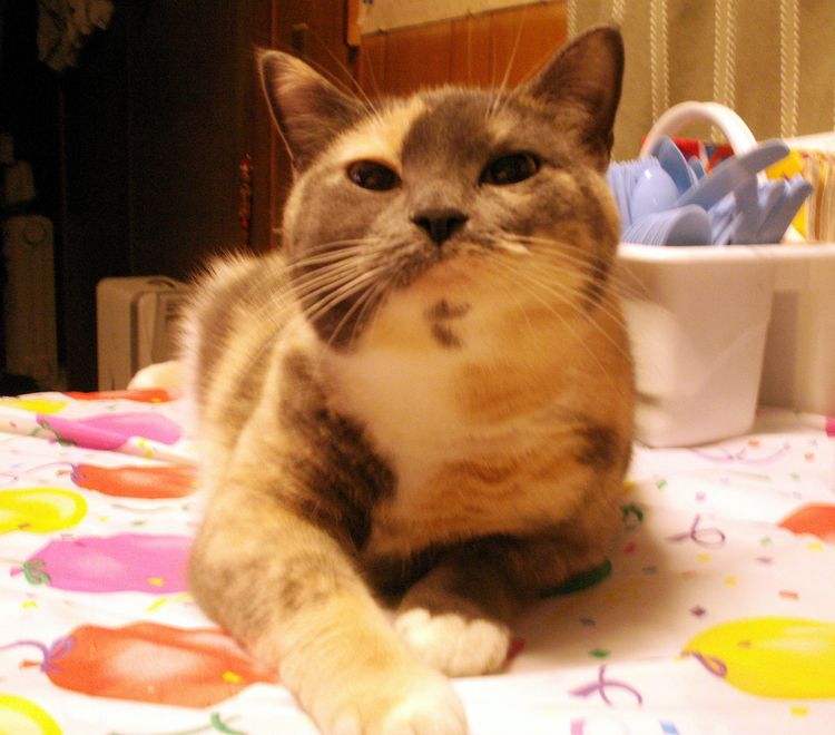 05-21-57-162205542248430444