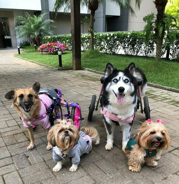 05-22-02-1621364521249855455