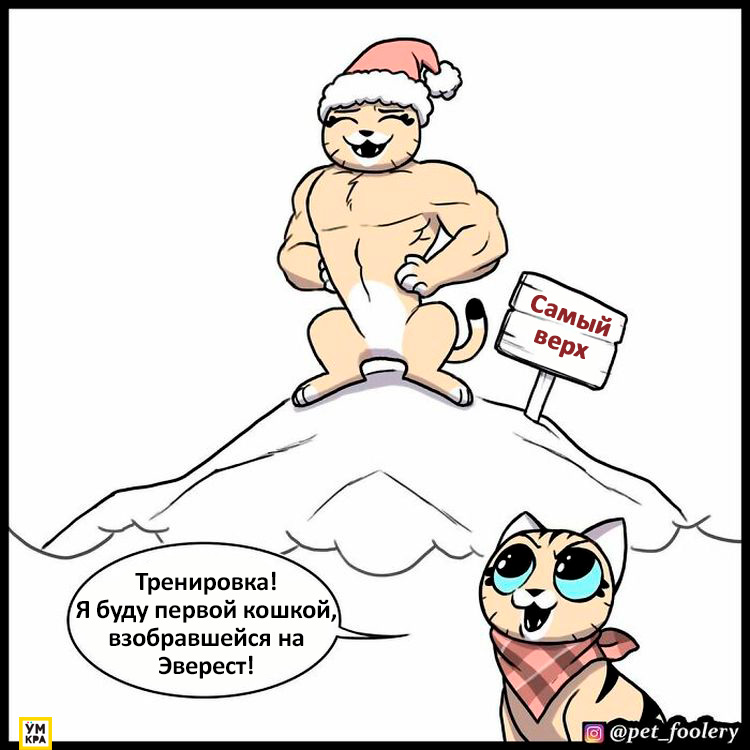 06-01-59-16238843692144111523