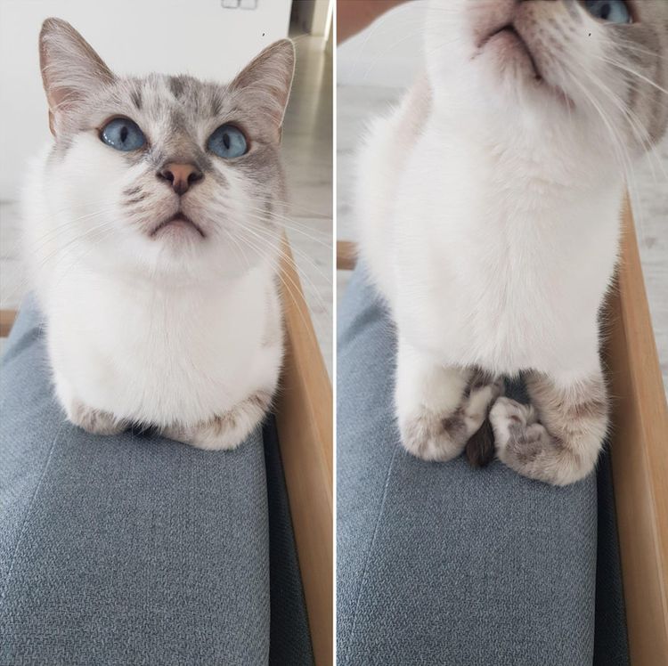 06-09-52-1622789576825076912