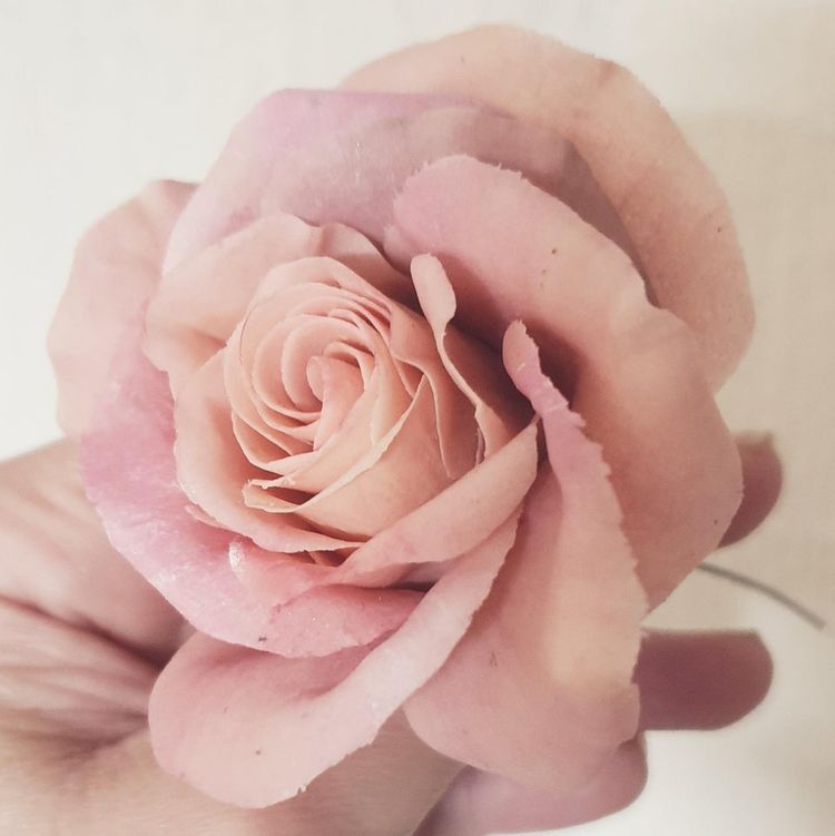 06-09-58-16231355391710179631