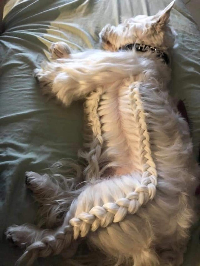 06-09-59-16231355911518364450