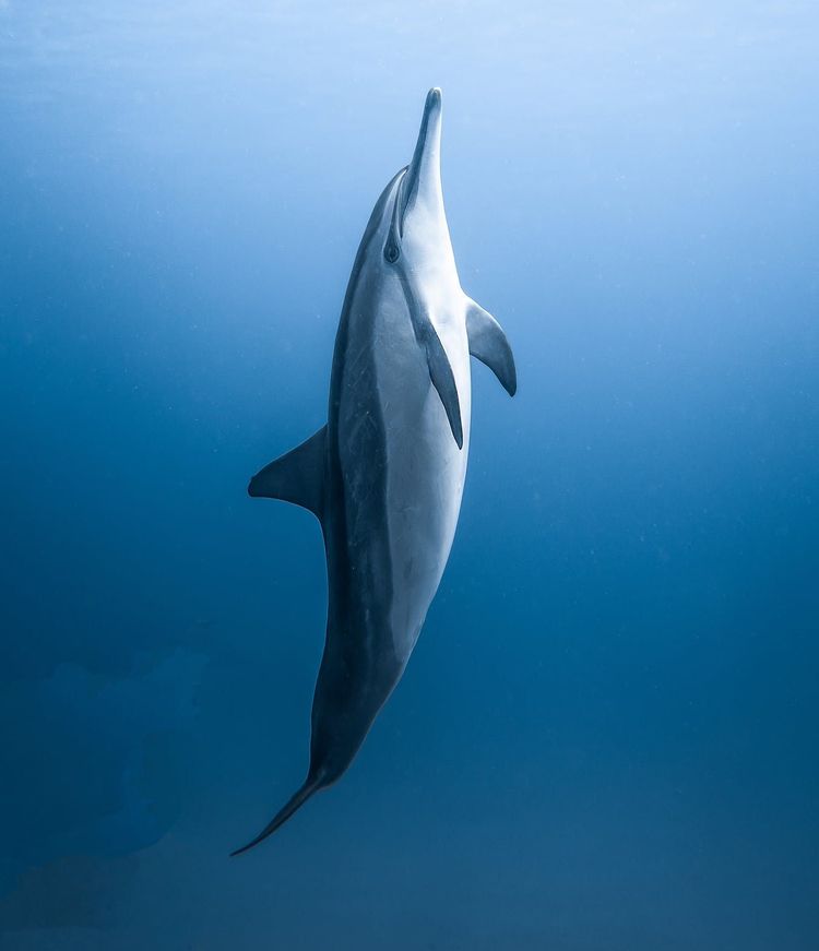 06-10-14-16231364471773248995