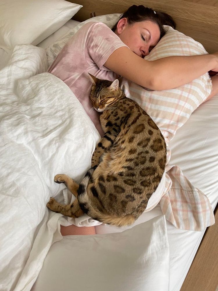 06-10-22-1624519355342828240