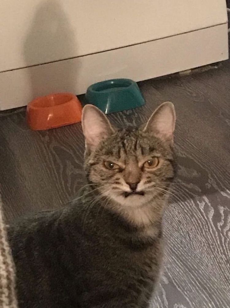 06-10-53-16250396321241678866