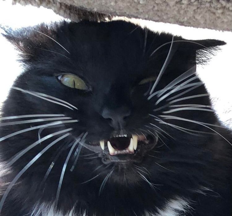 06-10-53-1625039637924801098