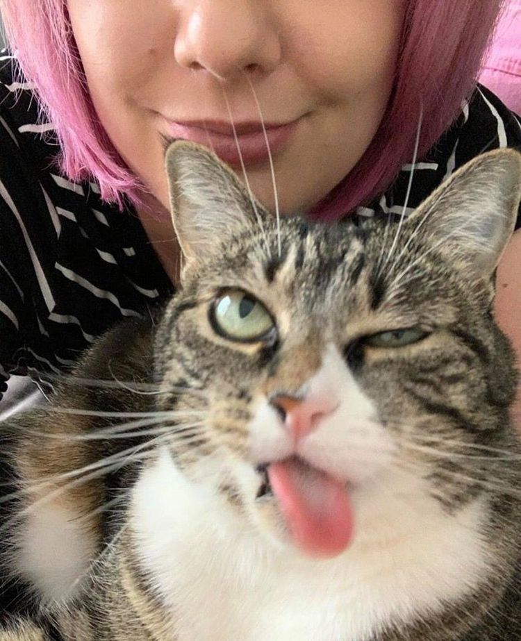 06-10-53-16250396391040294421