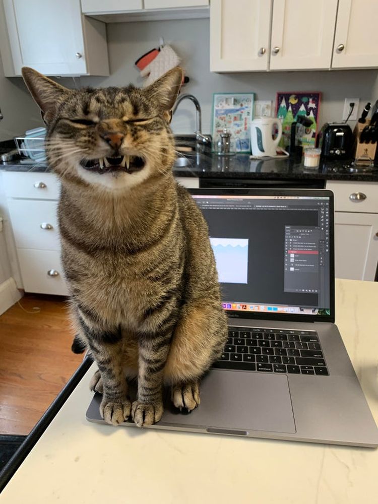 06-10-54-16250396432068263101