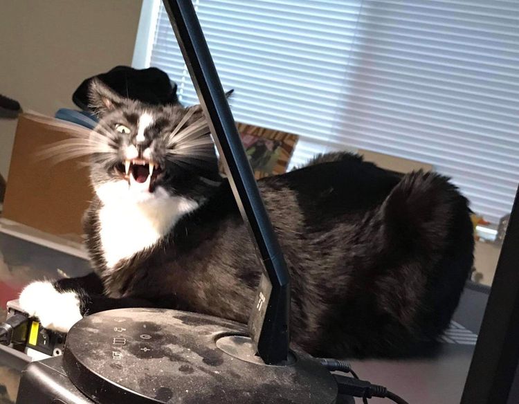 06-10-54-16250396511117392889