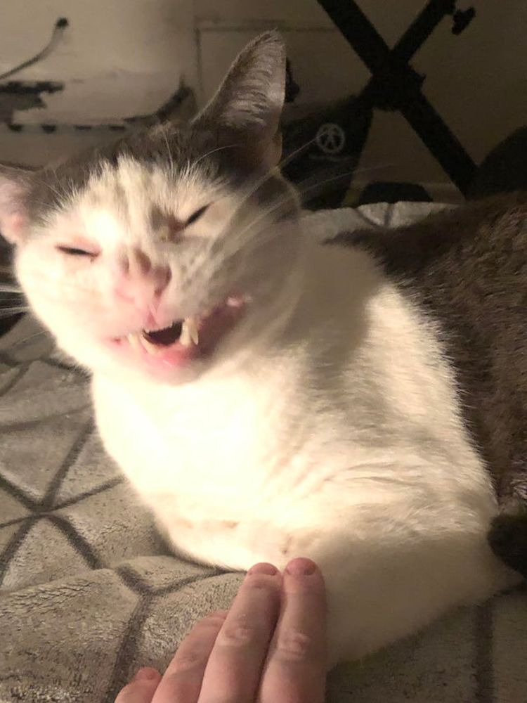 06-10-55-16250397261535461327