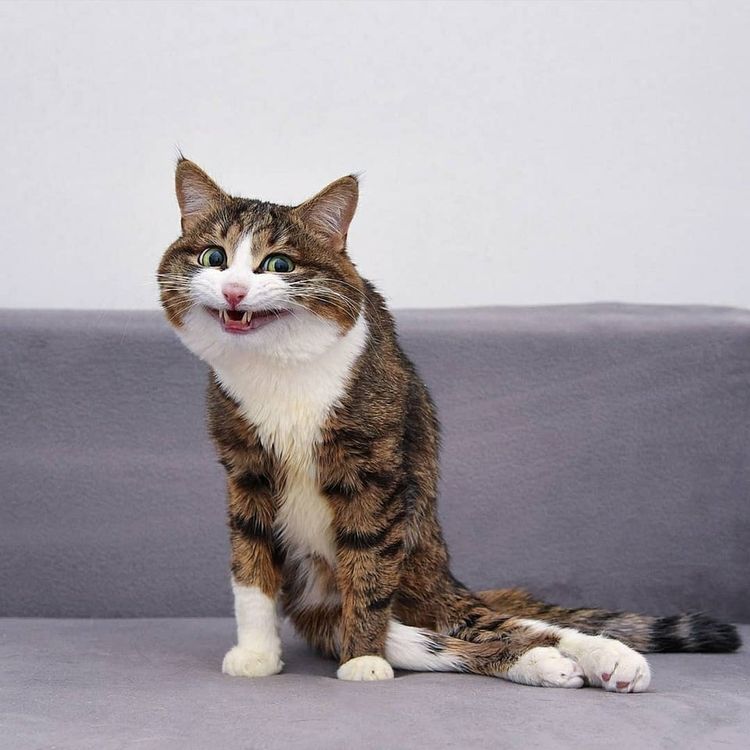 06-10-55-16250397321708871238