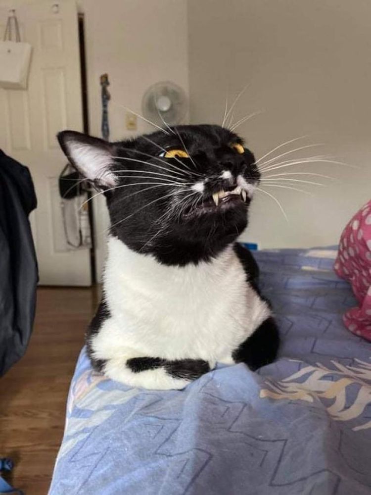 06-10-55-1625039740743120566