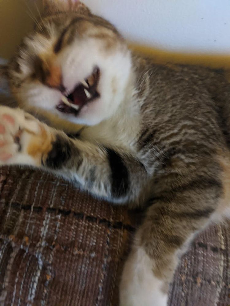 06-10-56-16250397751319026128