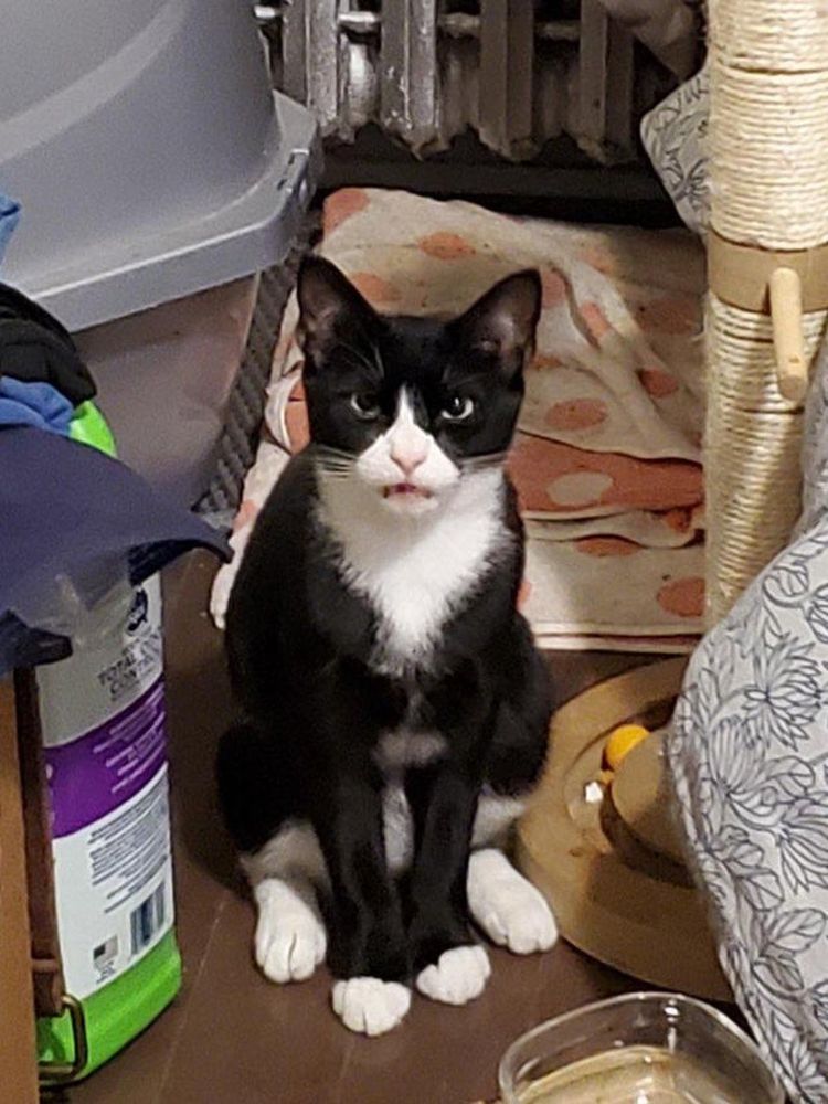 06-10-56-16250397811052706409