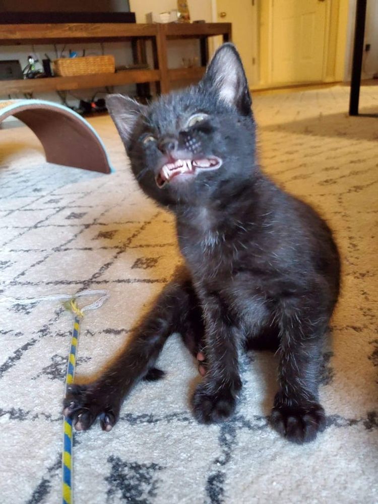 06-10-56-16250397861794816184